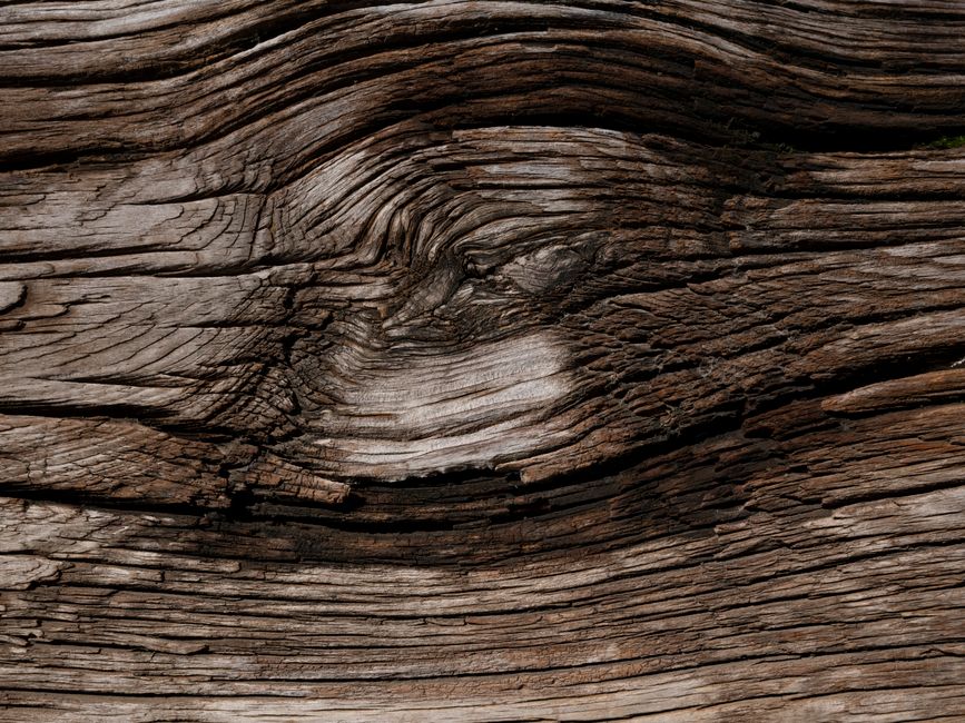 Close up of natural wood grain texture on a custom dining table